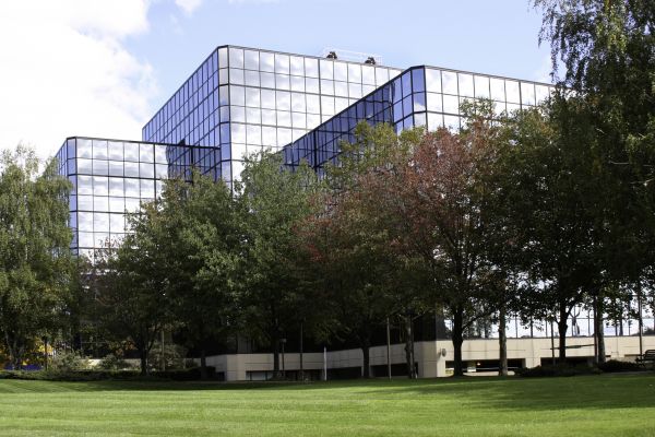 Commercial Tree Trimming in Midlothian